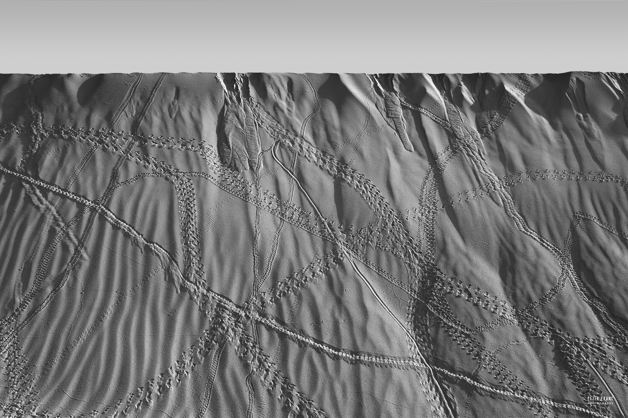 Tracks on Socotra