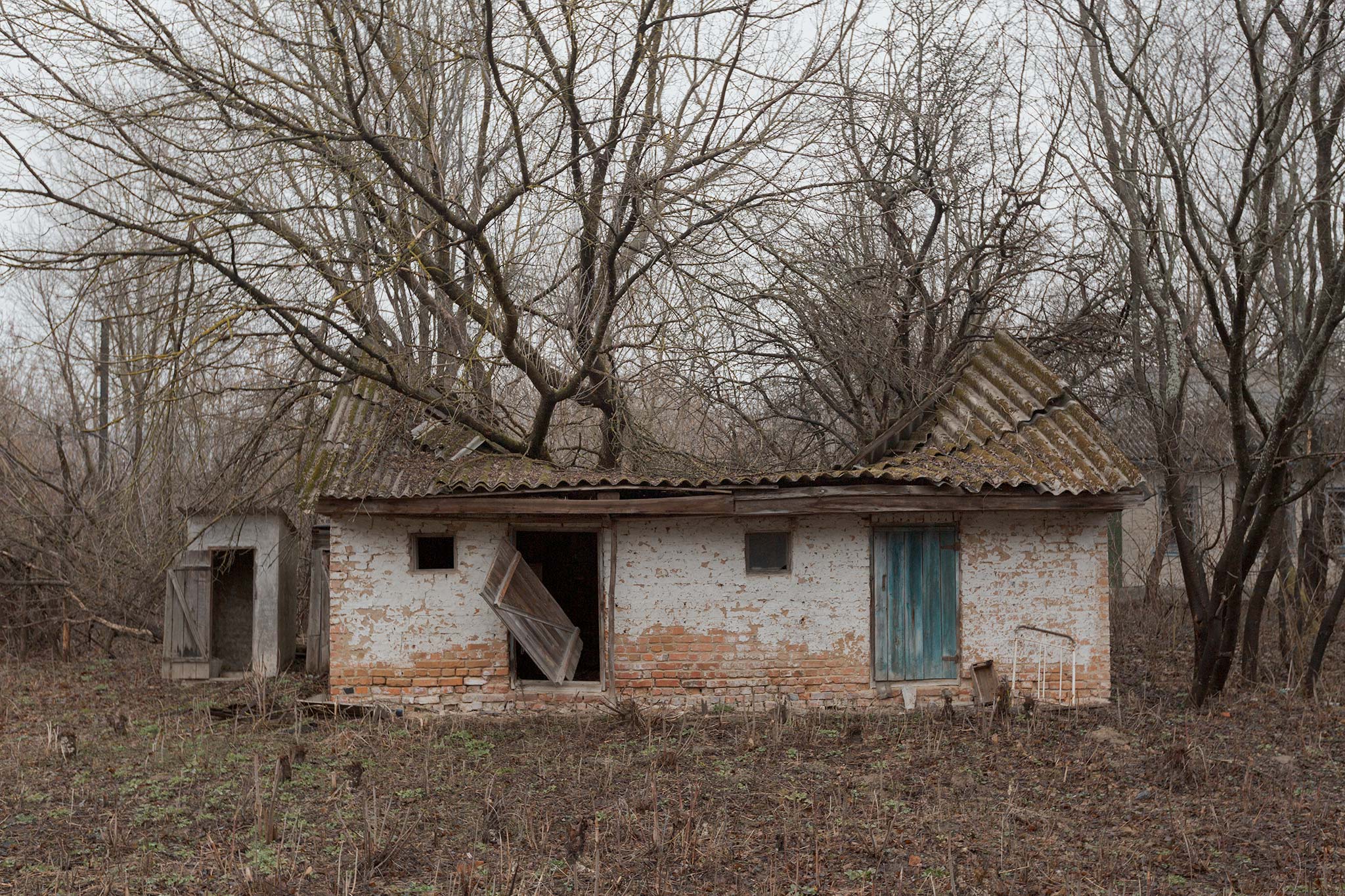 · Domestic Collapse ·