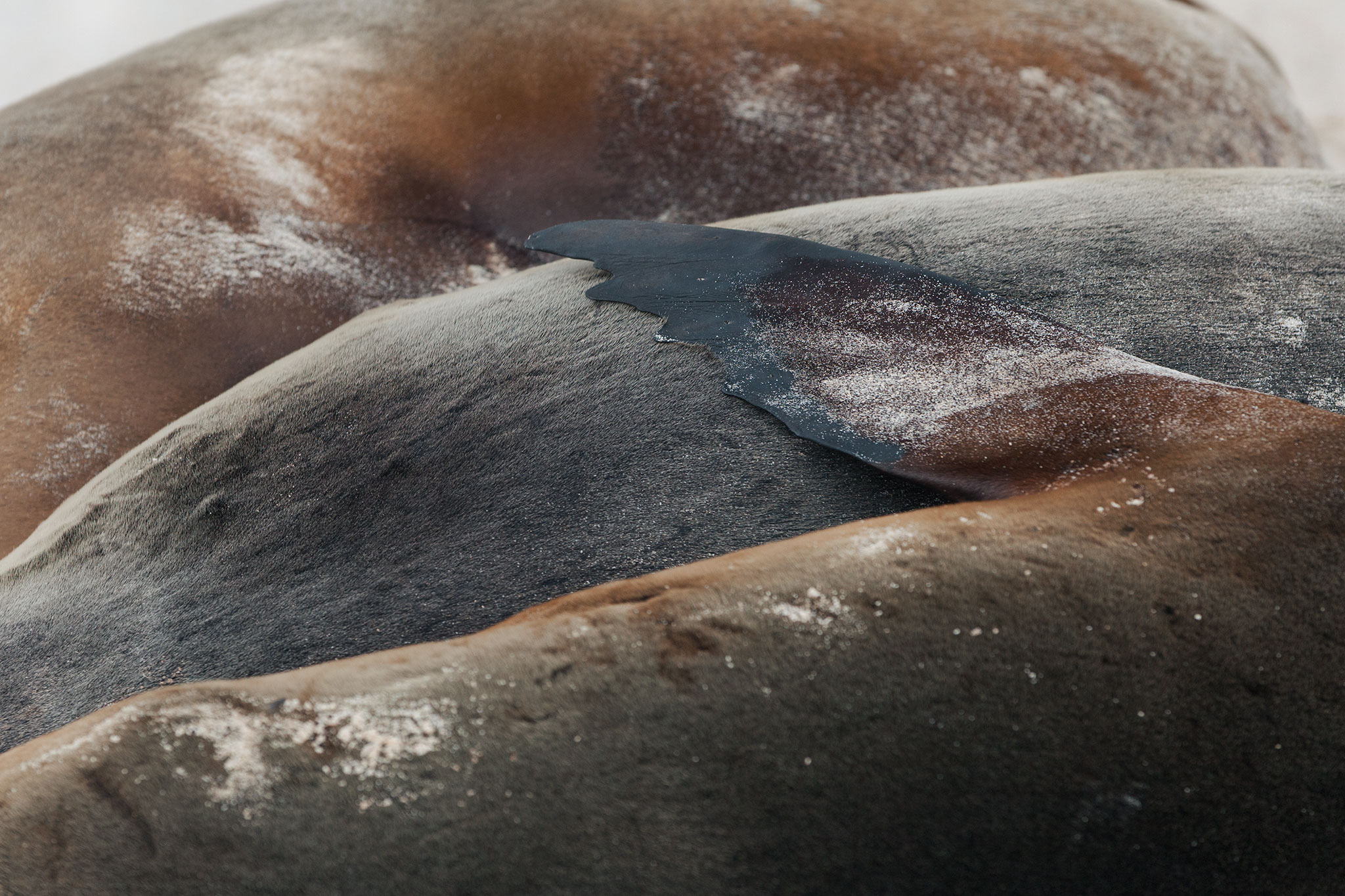 · Confluence ·