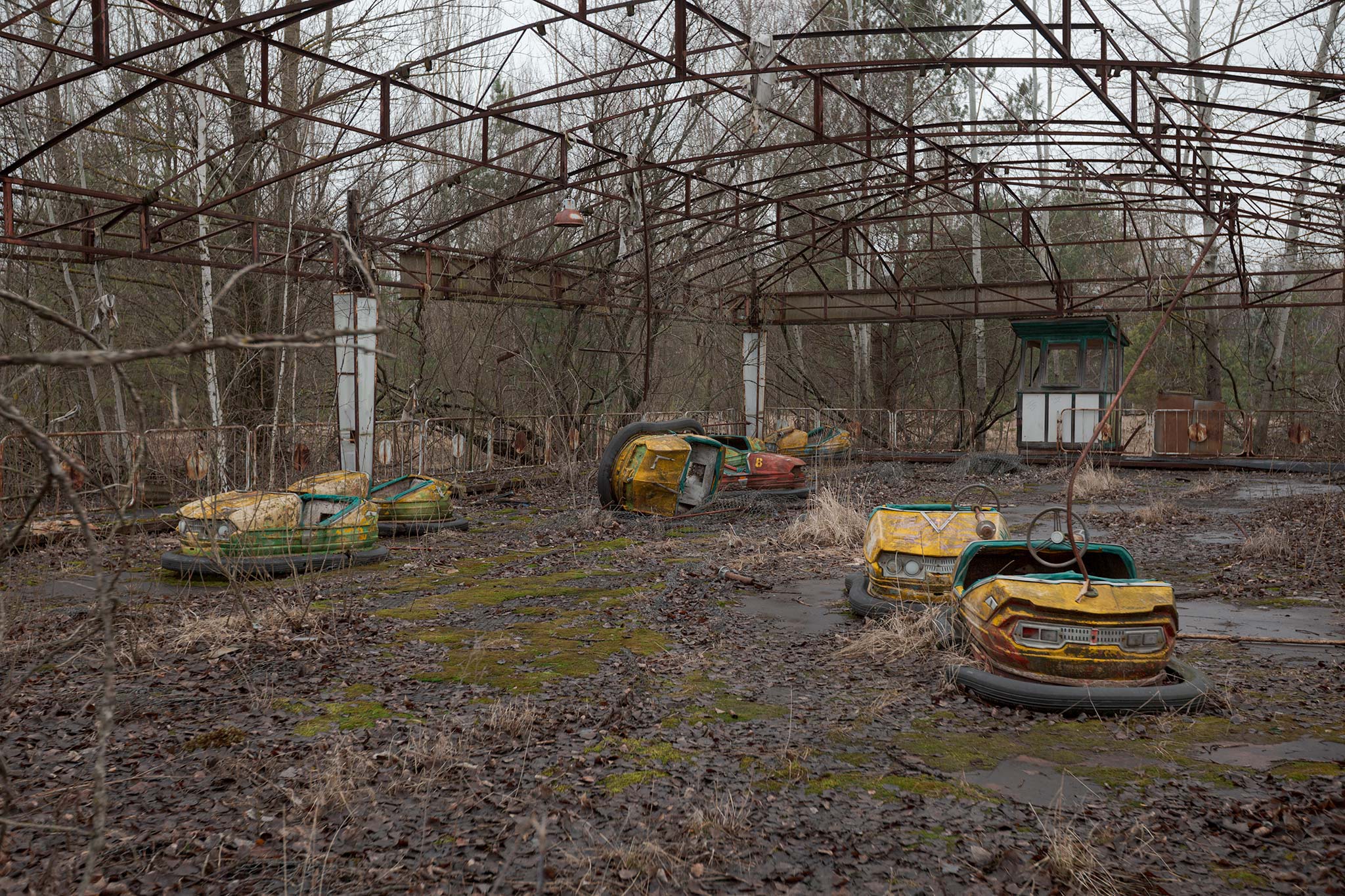 · Dodgems ·