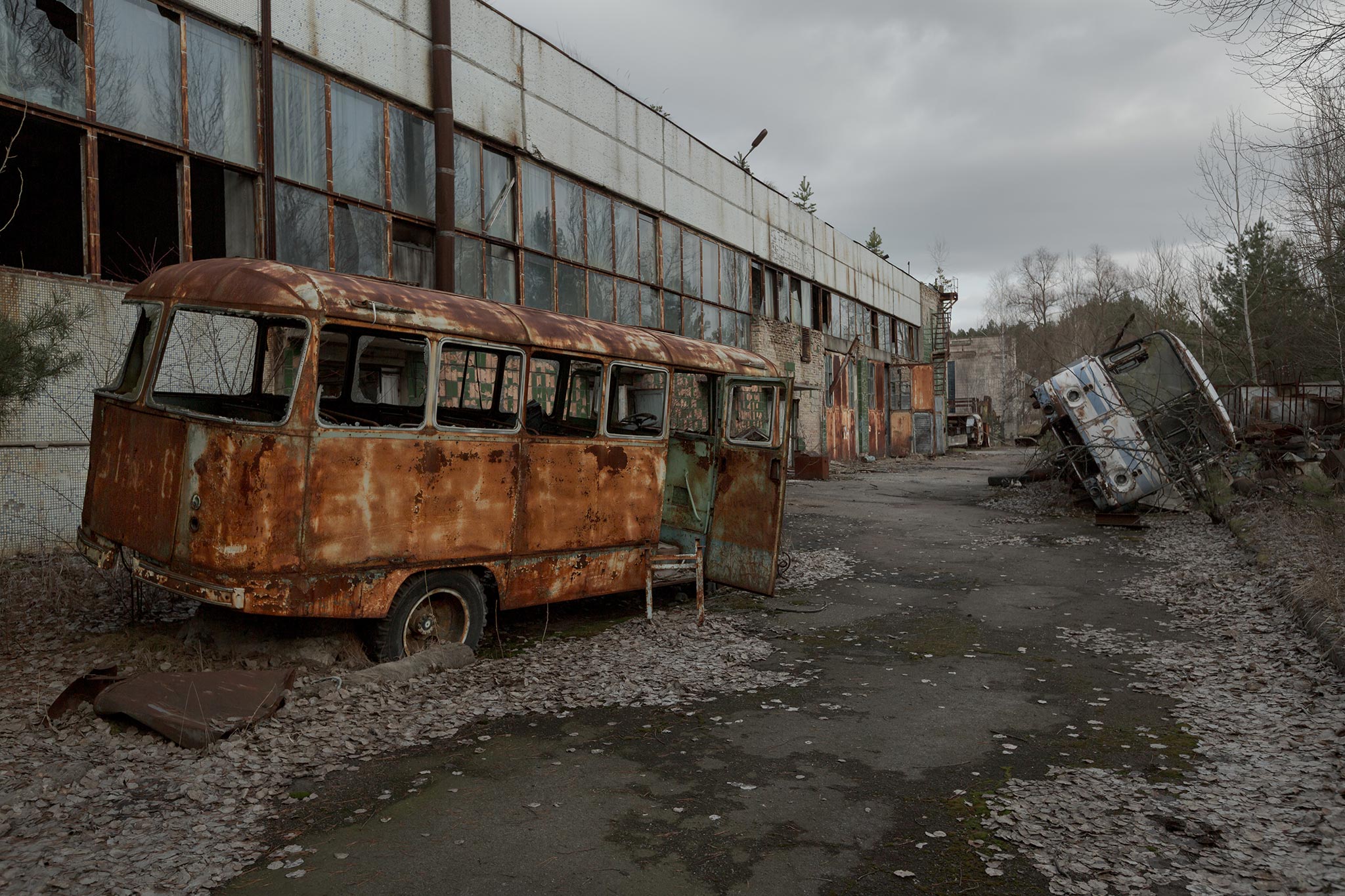 · Buses ·